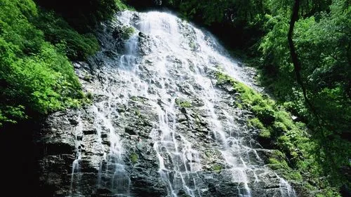 高精度全自动